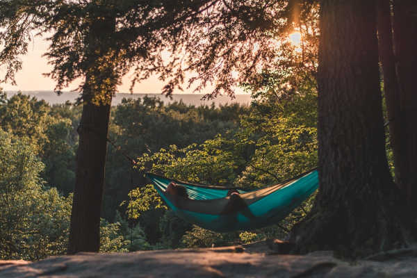 Hammock fastened with trees
