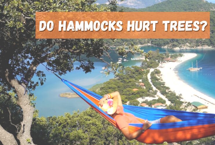 do hammock hurt trees