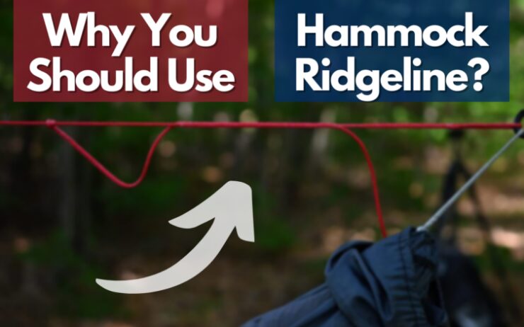 What is Hammock Ridgeline