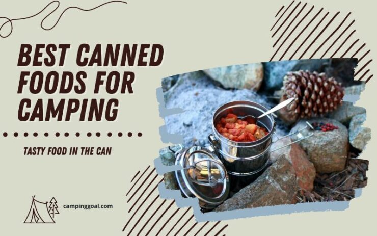 Best Canned Foods For Camping – Tasty Food in the Can