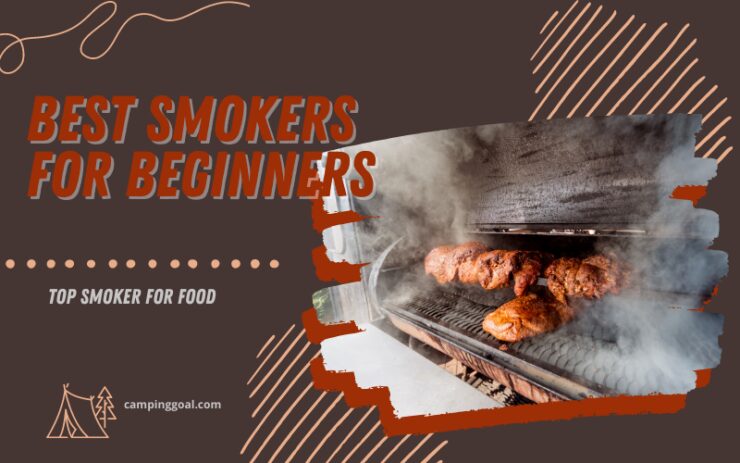 Best Smokers for Beginners – Top Smoker for Food
