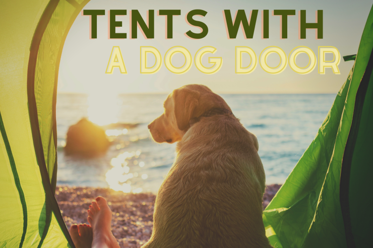 Best Tents With a Dog Door