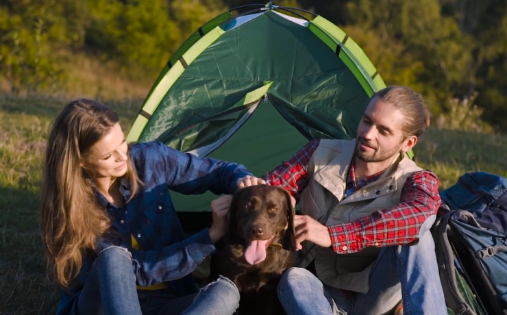 Best Tents for Camping with Dogs