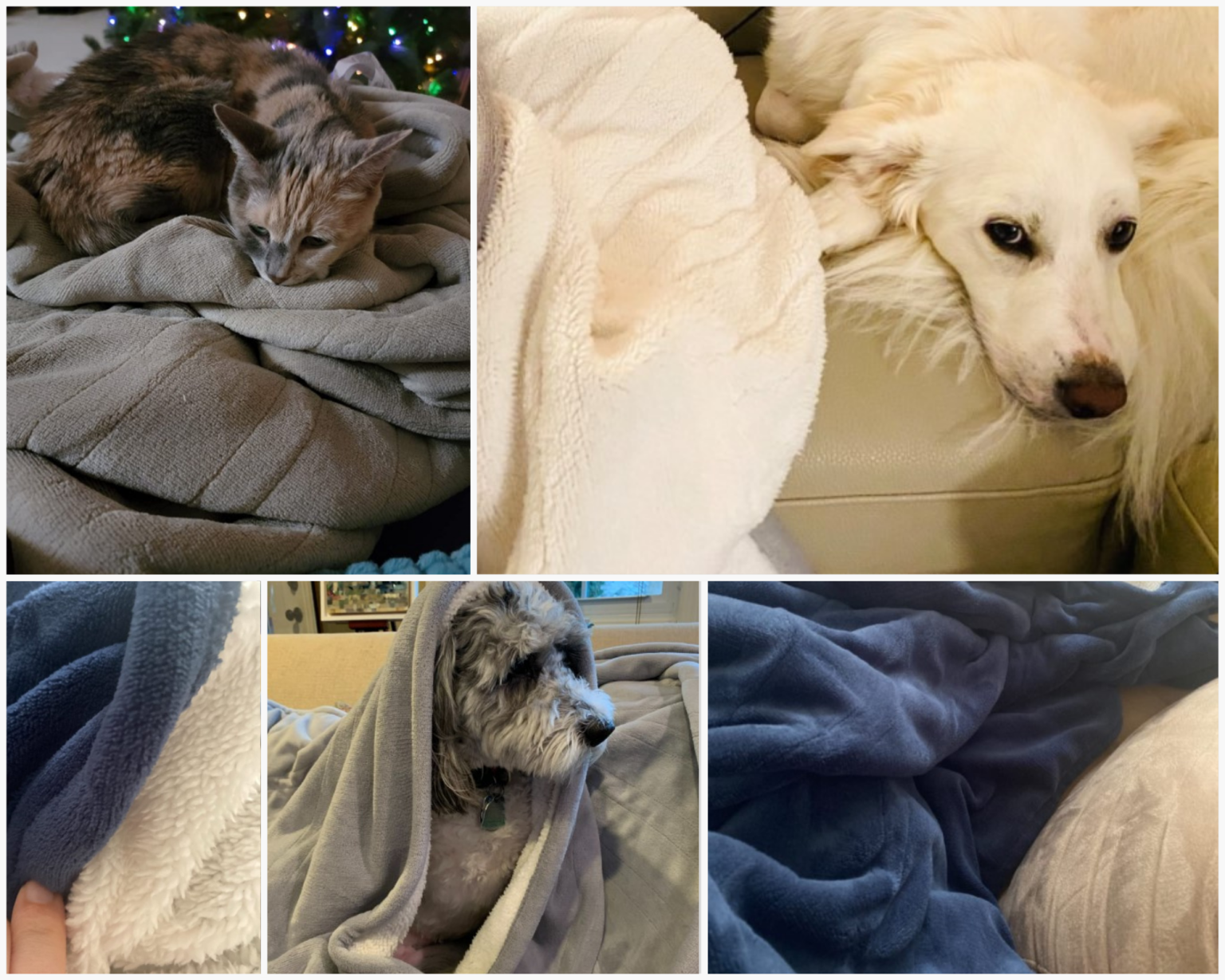 15 Best Battery Powered Heated Blanket for Camping 2024 Stay Warm in