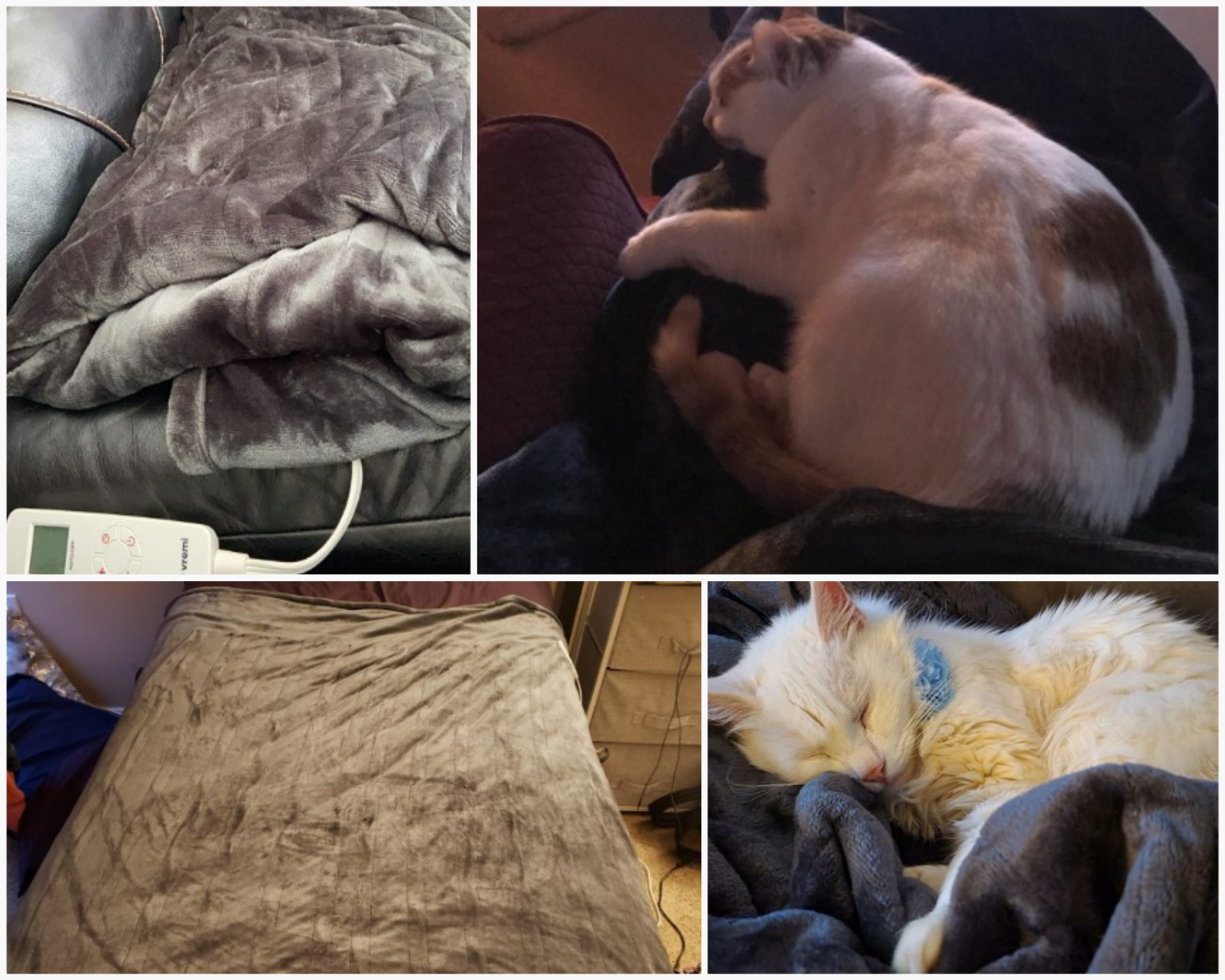 15 Best Battery Powered Heated Blanket for Camping 2024 Stay Warm in