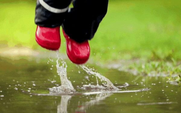 Waterproof boots and leg gators