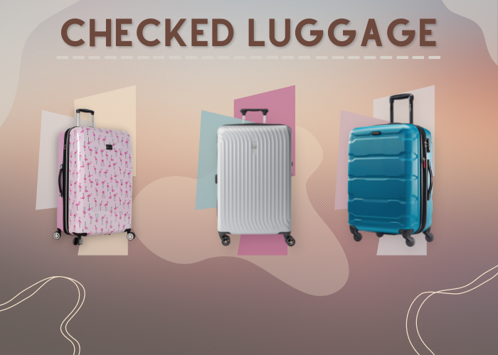 Best Checked Luggage