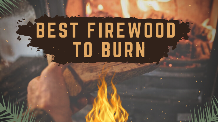 What is the Best Firewood to Burn