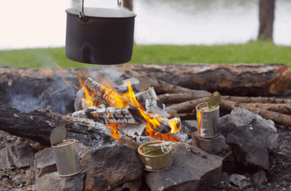 Canned Foods For Camping